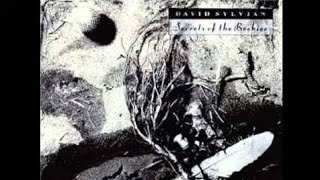 David Sylvian - Orpheus (Legendado)