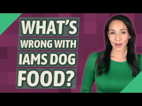 What's wrong with Iams dog food?