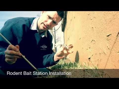 How to Secure a Rodent Bait Station in Matawan, NJ