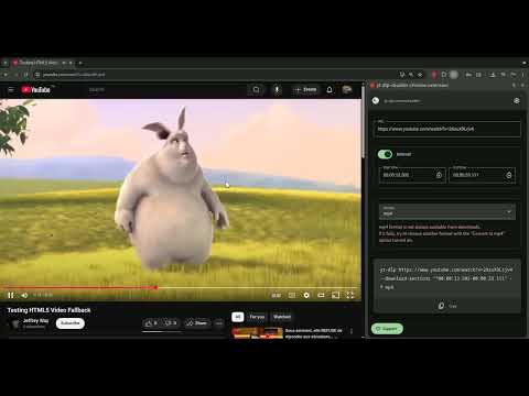 Item video thumbnail