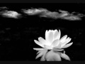 Buckshot Lefonque- Blackwidow blues