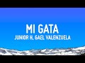 Junior H, Gael Valenzuela - MI GATA (Letra/Lyrics)