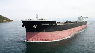 CELEBES CLOVER