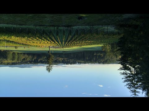 2740 Buck Road | Duncan, BC - The Agency