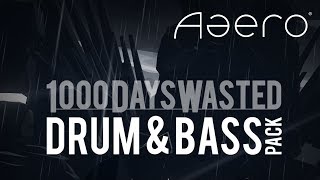 Aaero - 1000DaysWasted - Drum & Bass Pack (DLC) Steam Key GLOBAL
