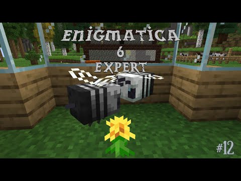 Enigmatica 6 Expert | Steel Bees & Induction Smelters | Ep 12