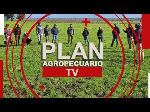 Programa del Plan Agropecuario del 1 de julio de 2024
