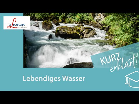 Lebendiges Wasser: Was tut es für unsere Gesundheit?