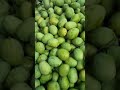 Gorakhpur fruit wholesale market