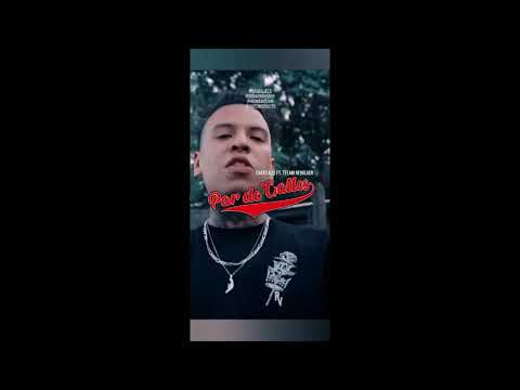 CHATO 473 PAR DE GALLOS FT TEEAM REVOLVER PREVIO 2020