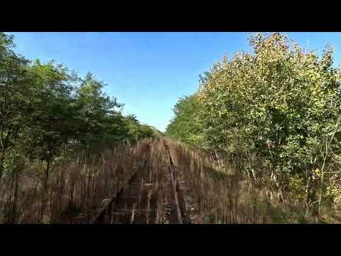 The Line Nyíradony - Nagykálló (Nr. 112.) 2024 4k