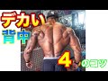 デカい背中を作るすぐできる4つのコツ【筋トレ】