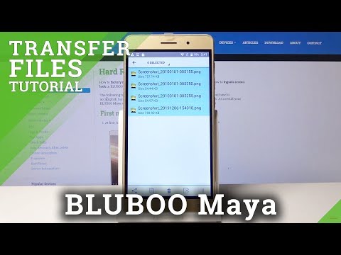 How to Transfer Files in BLUBOO Maya – Move Data