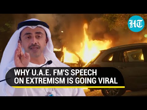 "Radicals, Extremists Will Come...": How UAE Foreign Minister 'Predicted' French Riots In 2017