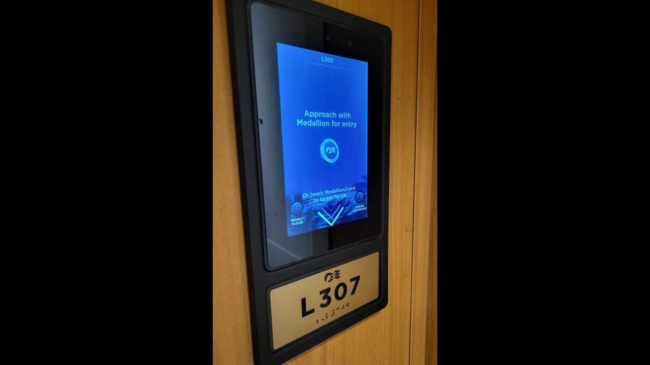 Grand Princess - Cabin L307 - Video 3