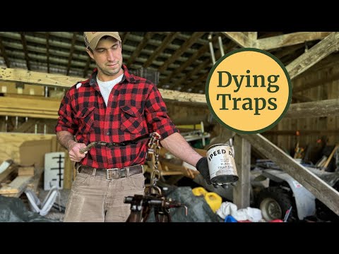 How to Dip & Dye Traps Using Speed Dip | Easy Trapping Season Prep with New England Naturals