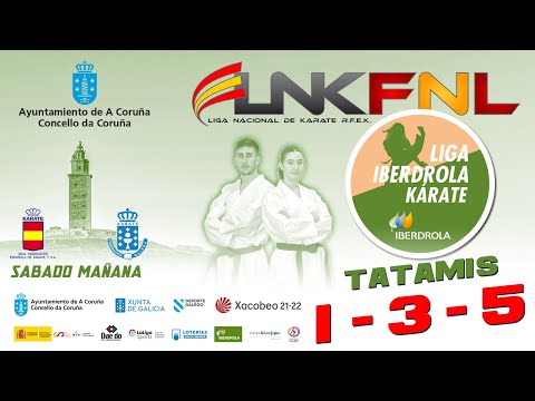 GRAN FINAL LIGA IBERDROLA DE KARATE 2022