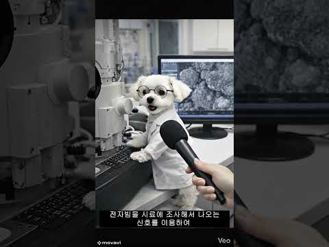 주식회사 아이엠에스코리아