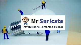 Vidéo de Mr Suricate