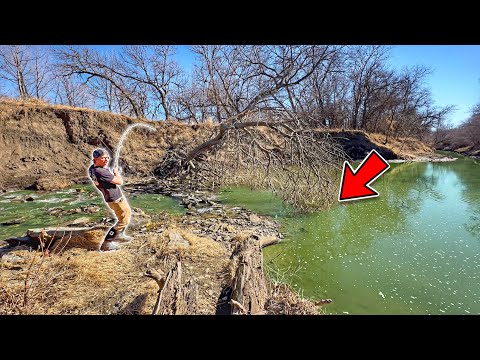 I HAVE NOT Caught One Here In YEARS!!! (Unexpected Catch)