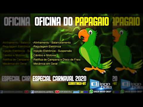 OFICINA DO PAPAGAIO ESP. CARNAVAL 2020 GUIRATINGA-MT - DJ IAGO BALA