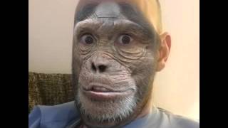 MSQRD Mickey the monkey claire