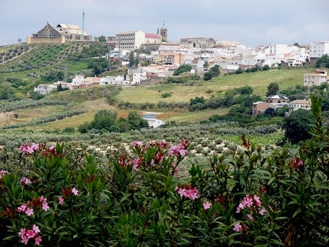 Places to see in ( Montilla - Spain )