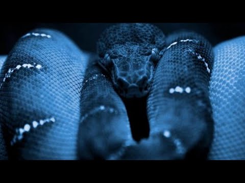 Python Password Checker Tutorial Md5hash