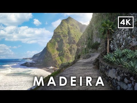 Discover MADEIRA 🇵🇹 | Epic & Dangerous Roads | 4K Driving Tour in Portugal