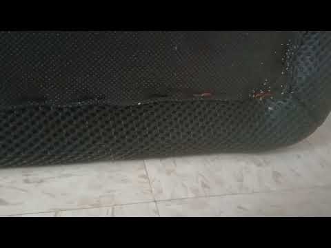 Bed Bugs Crawling in Crevices of Recliner in Middletown, NJ