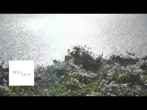 ALESSANDRO CRIMI - deep and dub techno mix - Muzaikfm 030