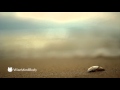 Loving Kindness Meditation To Develop Mindfulness And Compassion