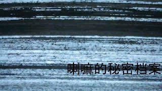 El archivo secreto del lama (experimental)