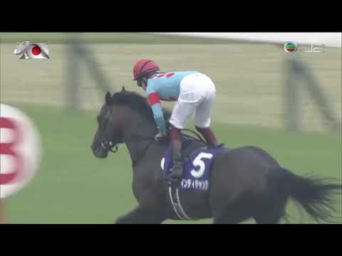 2019 Yasuda Kinen International Group 1 1600m