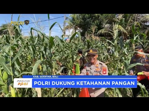 POLRES GIANYAR PANEN JAGUNG DUKUNG KETAHANAN PANGAN