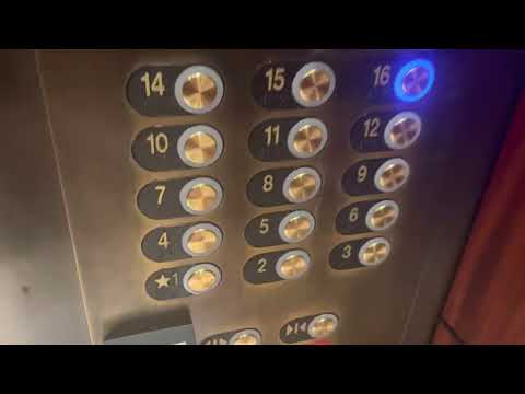 Otis/ThyssenKrupp Traction Elevators @ Royal Sonesta Hotel, Austin, TX