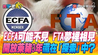 [轉錄] 民進黨發言人談ECFA不能停，是健康有序