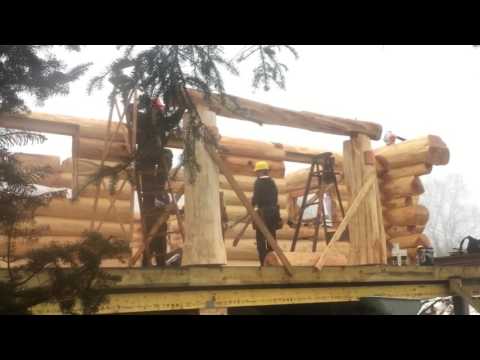 The B S Show / Timber Kings