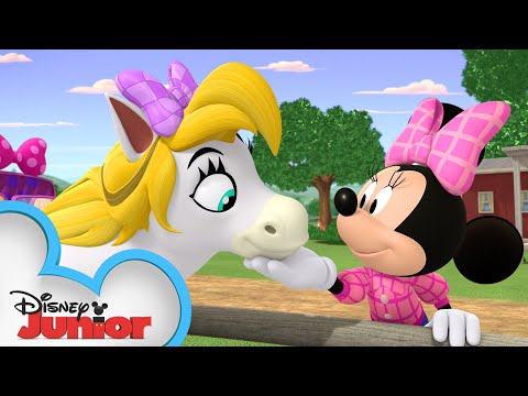 Minnie & Daisy Horseback Ride 🐴| Mickey Mornings | Mickey Mouse Mixed-Up Adventures | @disneyjr