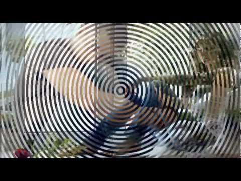 SezGin ft Son-Gul & DjZehir - Bir Elveda ALBUM CIKTI !!