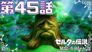 【ゼルダの伝説　知恵のかりもの】　ゼルダ姫が主人公！？かりものをしてハイラルを救う！！　第４５話
