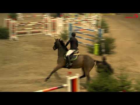 Adventsturnier Leck 2017 - Springprüfung Kl. S mit St. - Jörg Möller mit Lady Carambola Cor