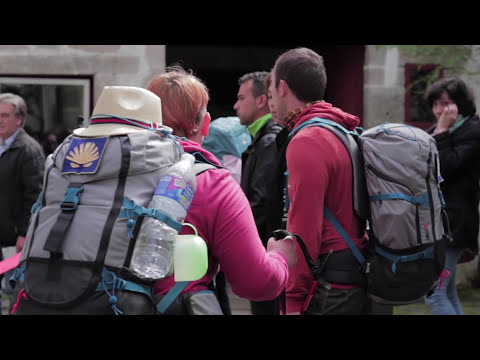 卡米諾 (The Camino)