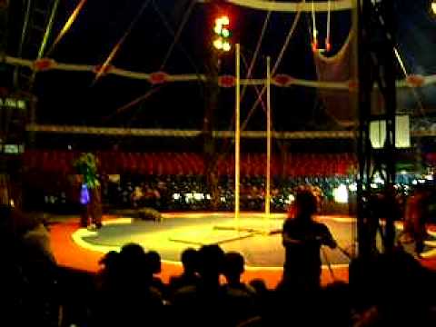 Abertura ( circo marcos frota show) em nova lima MG