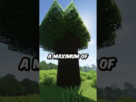 The Biggest Tree Type In Minecraft