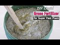 DIY Liquid Grass Fertilizer For Super Fast Plant Growth