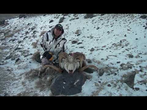 Monster Marco Polo Ram