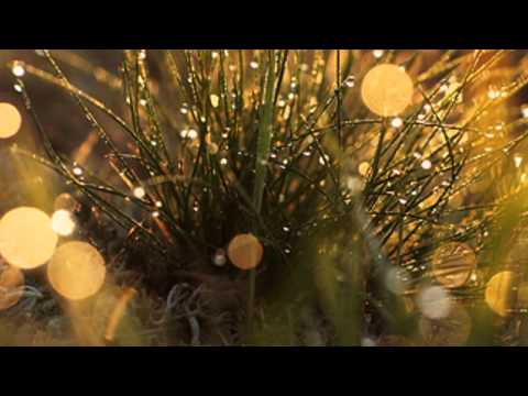 Sunrise ~ Deva Premal and Miten