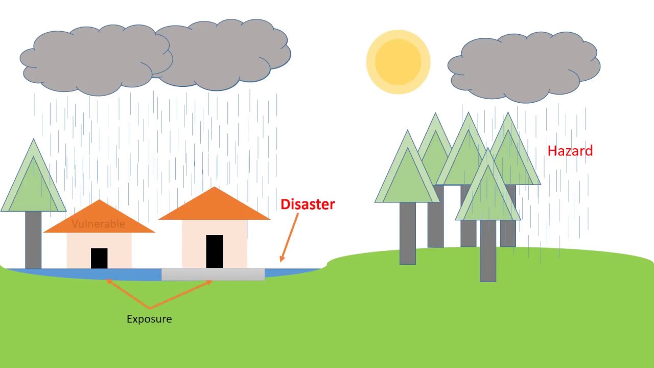 Some basic concepts of disaster