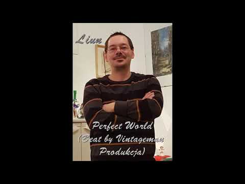 Method Man - Perfect World (Liun Cover / prod. by Vintageman Produkcja / Lyrics in the description)